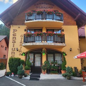 Pensiunea Gianina Hotel Lepus Exterior photo