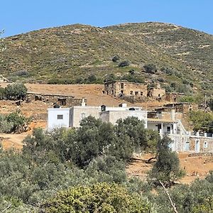 Aegean Cottage Andros Makrotándalo Exterior photo