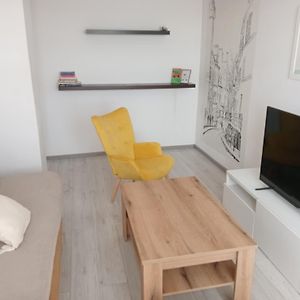 Cosy And Comfortable Flat, Perfect For The Remote Work Apartman Czeladź Exterior photo