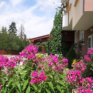 Zodiac House Hotel Szamokov Exterior photo