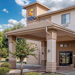 Comfort Inn & Suites Seguin Exterior photo