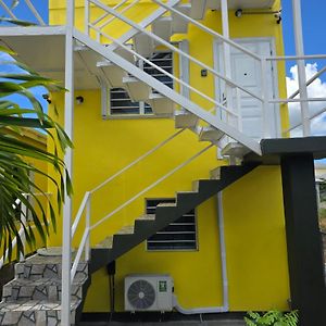 Tiny Bliss Apartments St. John's Exterior photo