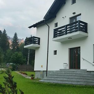 Casa Irina Hotel Durău Exterior photo