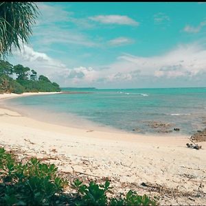 Mallick Palace Neil Island South Andaman Hotel Exterior photo