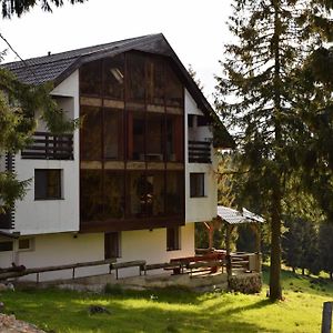 Pensiunea Vila Daniel Hotel Vártop Exterior photo