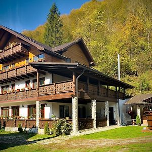 Pensiunea Drumul Iancului Hotel Alsóvidra Exterior photo