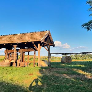 Buzál-Mórocza Pincészet és Szálláshely Etyek Exterior photo