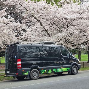 Near Airport Home On Wheels Christchurch Exterior photo