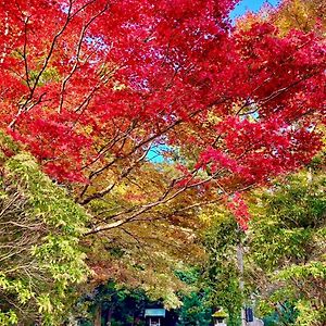 竹の隠れ家：自然豊かな遊歩道ある完全貸切一軒家、静寂と利便性が交わる場所、芦ノ湖まで車で10分- Apartman Asinoju Exterior photo