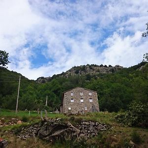 Les Chambres Du Ray-Pic Pereyres Exterior photo