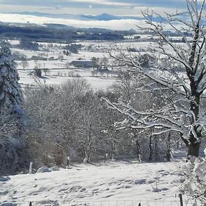 La Verriere Du Sancy Villa Picherande Exterior photo