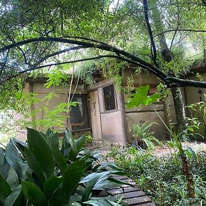 Casita Bioconstruccion Hotel Playa Santa Ana Exterior photo