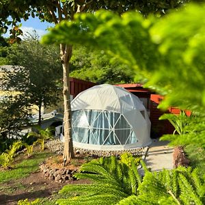 The Secret Garden - Glamping Grenada Hotel Morne Rouge Exterior photo