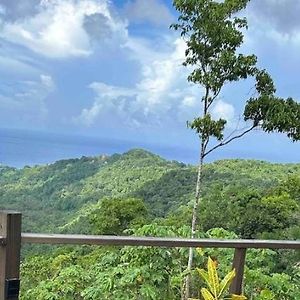 Journey to Paradise , Modern Waterfall Escape Apartman Port Antonio Exterior photo