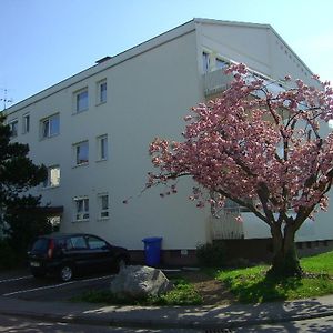 Ferienwohnung Schliestadt-Gorge Lindau  Exterior photo