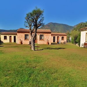 B&B Pubulos Olbia Exterior photo