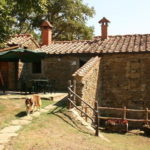 Tribbiano Villa Misciano Exterior photo