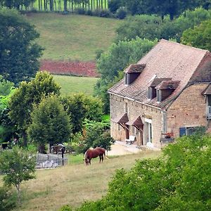 Le Domaine Du Cerneau Panzió Nailhac Exterior photo