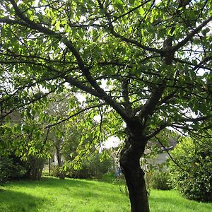 Maison Avec Grand Jardin Pour 15 Couchages En Normandie Cairon Room photo