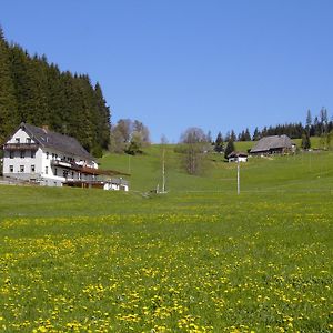 Gasthaus Pension Donishausle Titisee-Neustadt Exterior photo