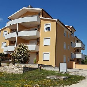 Apartment Nena Novigrad Istria Exterior photo