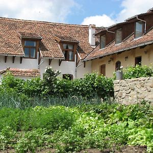 Convivium Transilvania Szászkeresztúr Exterior photo