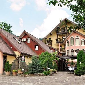 Pensiunea Casa Creanga Hotel Aknavásár Exterior photo