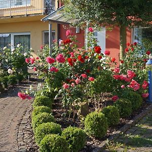 Ferienhaus Schloss-Garten Apartman Kapellen-Drusweiler Exterior photo