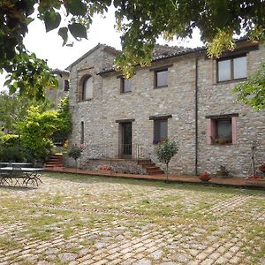 Il Giardino Degli Ulivi Villa Castelraimondo Exterior photo