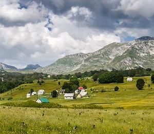 Eco Village Highlander Žabljak Exterior photo