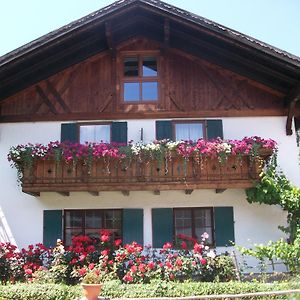 Haus Alpenrose Apartman Schwangau Exterior photo