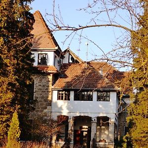 Villa Castelul Maria Bánpatak Exterior photo