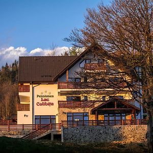 Pensiunea Lac Kolibica Exterior photo