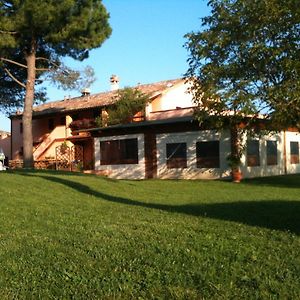 Agriturismo Casale Il Gallo Bianco Offagna Exterior photo