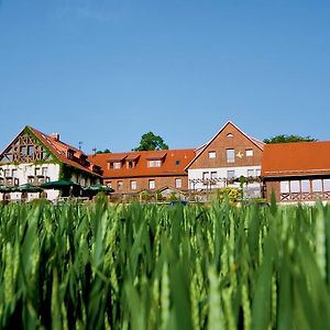 Hotel Neue Hohe Klingenberg Exterior photo