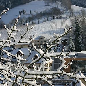 Weingut Wissler - Brennerei Apartman Au Exterior photo