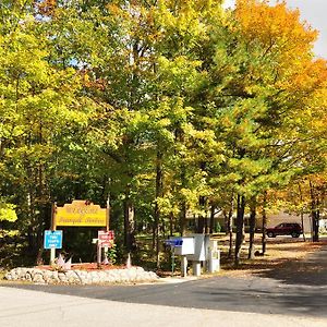 Tranquil Timbers Park Model 7 Hotel Sturgeon Bay Exterior photo