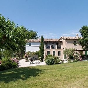 Vigna Sant' Amico Country House Apartman Morro dʼAlba Exterior photo