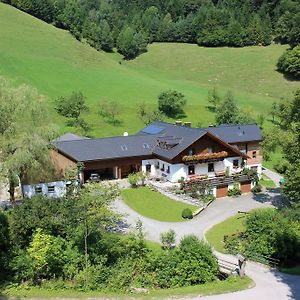 Urlaub Mitten Im Wald - Lueg Apartman Scheibbs-i járás Exterior photo