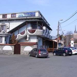 Pensiunea Melisa Hotel Tulcsa Exterior photo