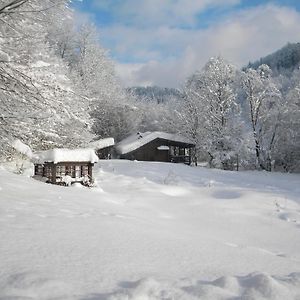 Chalet Kukavica Villa Szarvasháza Exterior photo