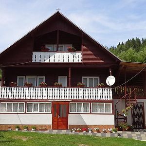 Pensiunea Daiana Hotel Fehérvölgy Exterior photo