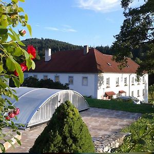 Ubytovani Ve Mlyne Hotel Kladenske Rovne Exterior photo