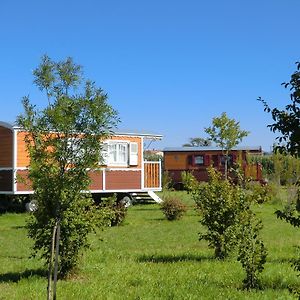 Les Roulottes-Gites De La Ferme De L'Autruche Dromoise Livron-sur-Drôme Exterior photo