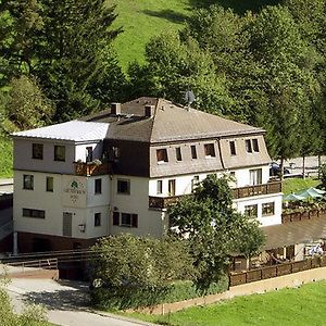 Hotel Gruner Baum Mit Restaurant & Wellness Oberzent Exterior photo