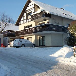 Haus Cristallo Apartman Olsberg Exterior photo