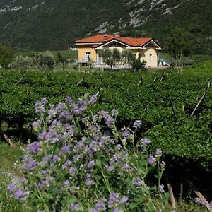 Appartamenti Al Vigneto Dro Exterior photo