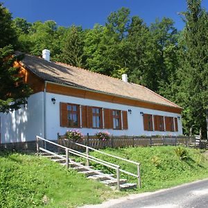 Keresztkúti Erdei Pihenőhely Apartman Kőszeg Exterior photo