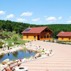 Rózsapark Vendégház Hotel Demjén Exterior photo