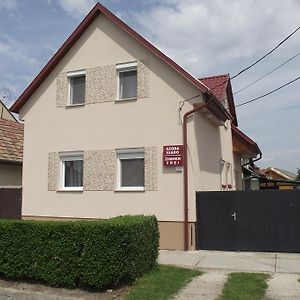 Radek Vendégház és Apartman Halászi Exterior photo